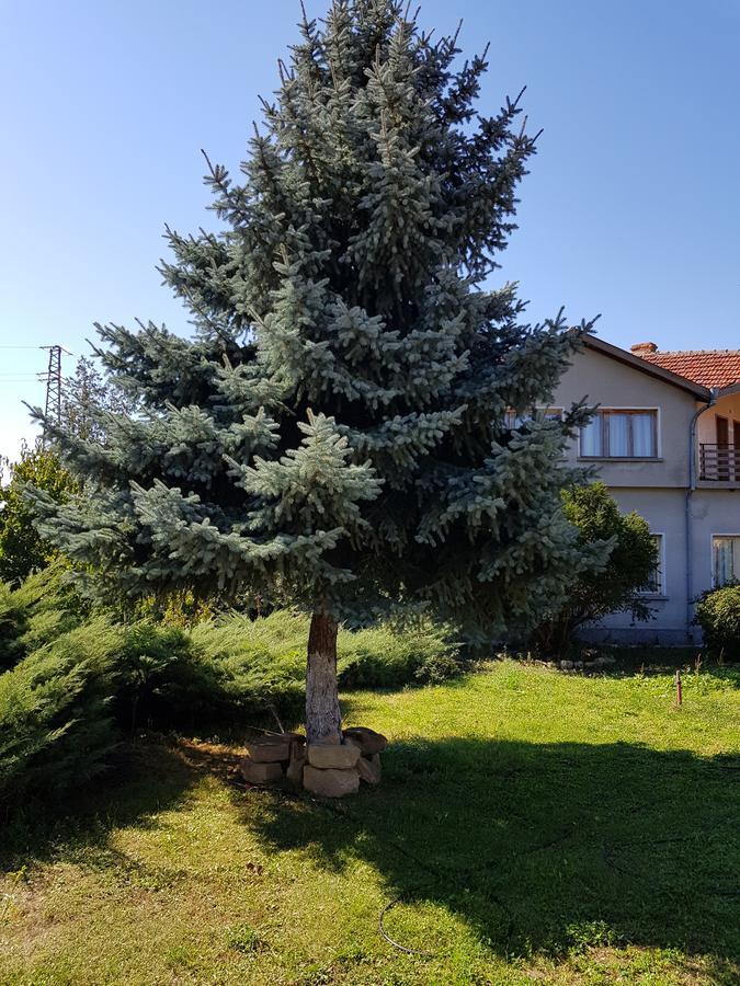 Къща За Гости Садово Guest House Sadovo エクステリア 写真